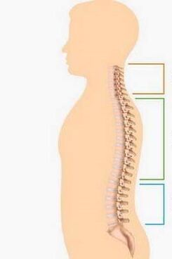 defeat with osteochondrosis of various parts of the spine